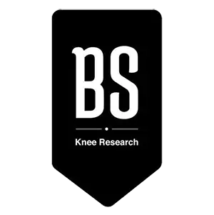 logo bs